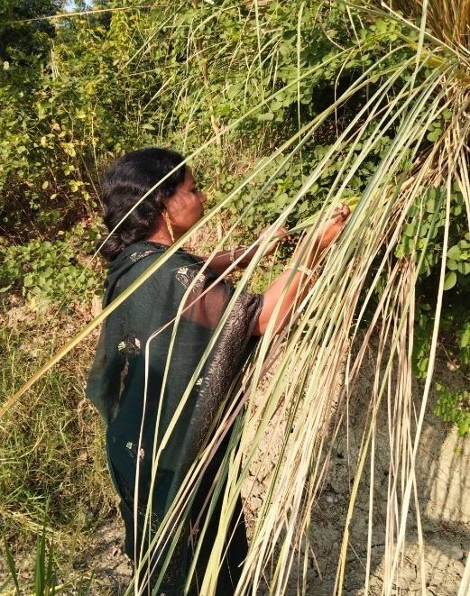 Moonj Grass Material